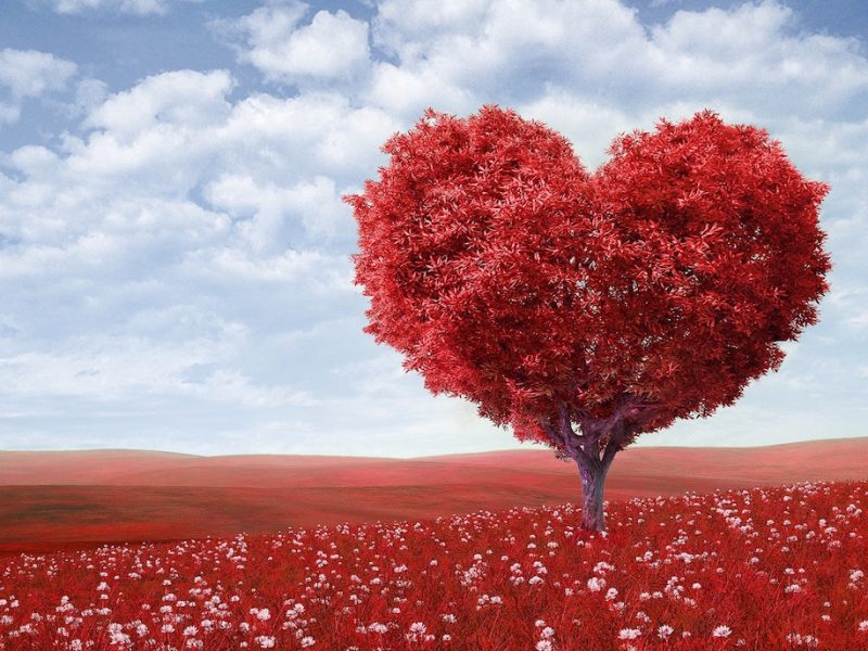 Red Heart Tree