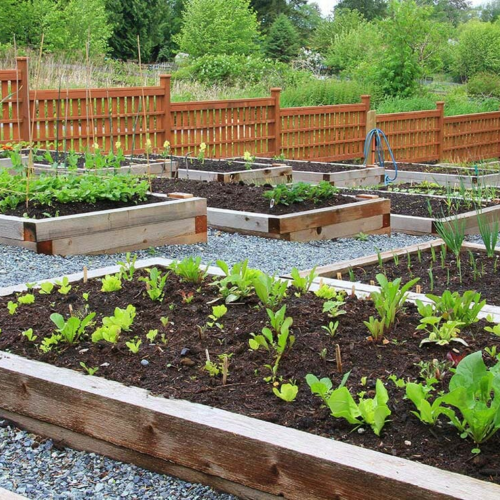 Sustainable Living Association | Urban Gardening: The Ultimate Guide on ...