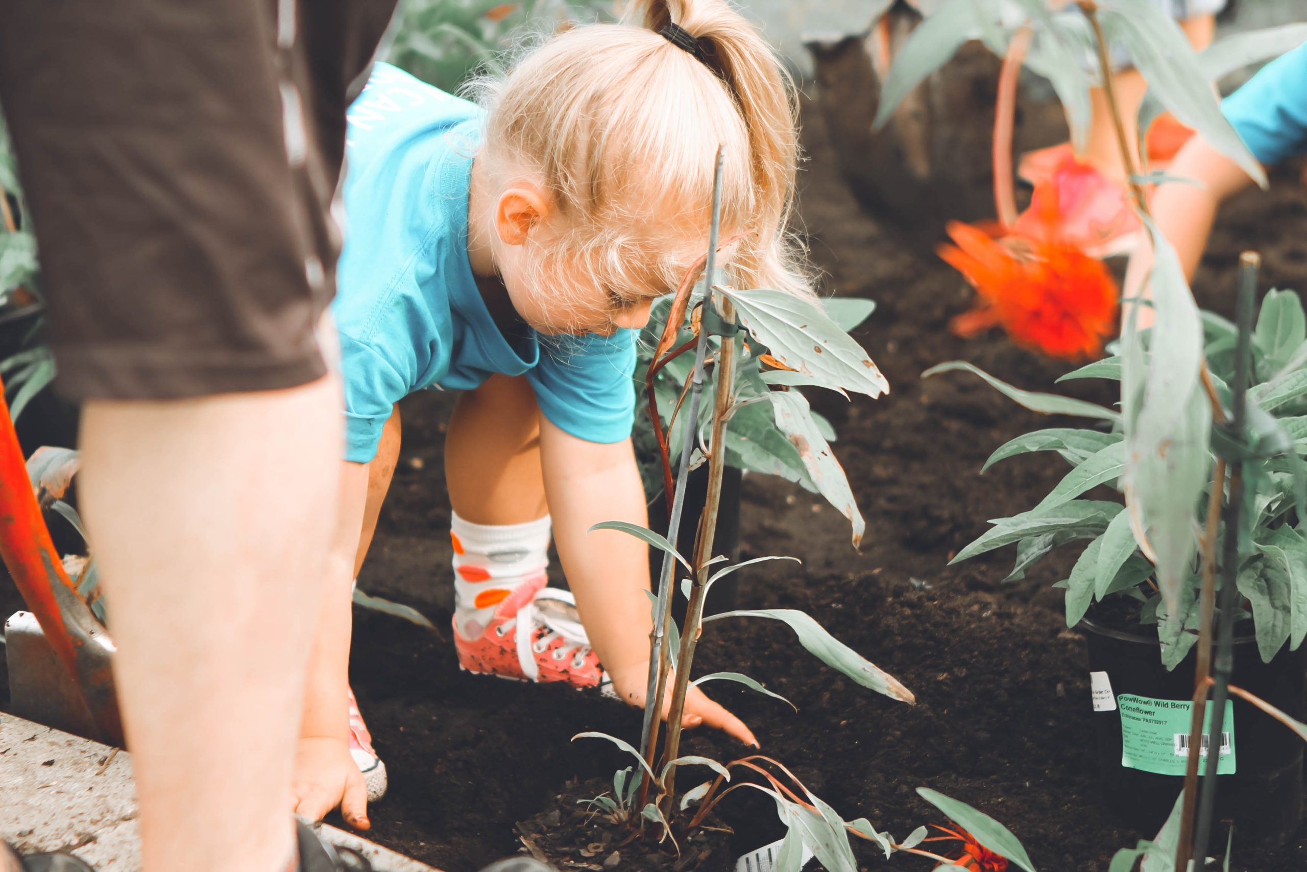 sustainable-living-association-9-easy-activities-that-kids-can-enjoy