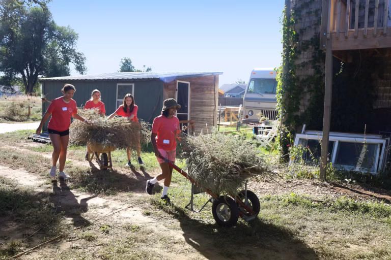 Two female youths pushing wheelbarrows overflowing with weeds. Two other female youths are helping hold the weeds in the wheelbarrow.