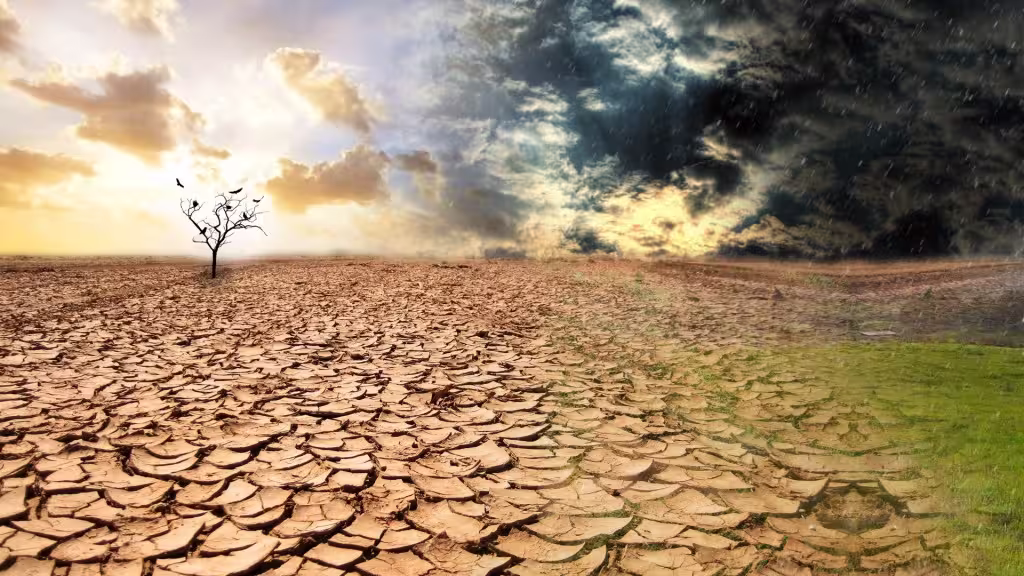Dry cracked ground on the left and rain falling and green grass starting to grow on the right